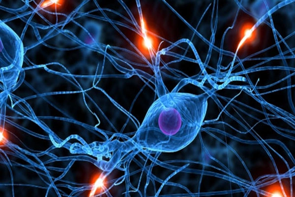 Đáng sợ “lời nguyền” đeo bám những người sở hữu trí nhớ siêu phàm - Hình 9 Dang so “loi nguyen” deo bam nhung nguoi so huu tri nho sieu pham-Hinh-9