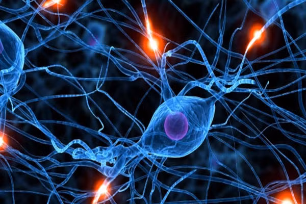 Dang so “loi nguyen” deo bam nhung nguoi so huu tri nho sieu pham-Hinh-9