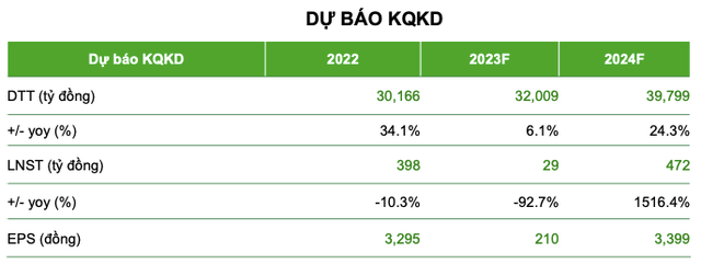 Vi sao Long Chau cua FRT duoc cong ty chung khoan vi nhu 'Rong ngam ngoc'?-Hinh-2
