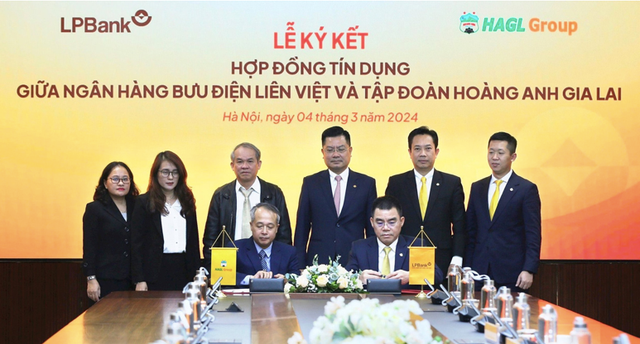 HAGL vay 5.000 tỷ từ LPBank đẩy mạnh đầu tư chuối, sầu riêng và heo HAGL vay 5.000 ty tu LPBank day manh dau tu chuoi, sau rieng va heo