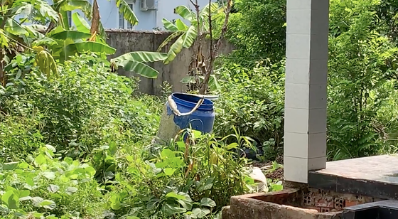 Bị cáo trong nhóm giết người bỏ xác trong thùng phuy được dìu tới toà - Hình 4 Bi cao trong nhom giet nguoi bo xac trong thung phuy duoc diu toi toa-Hinh-4