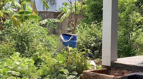 Bị cáo trong nhóm giết người bỏ xác trong thùng phuy được dìu tới toà - Hình 4 Bi cao trong nhom giet nguoi bo xac trong thung phuy duoc diu toi toa-Hinh-4