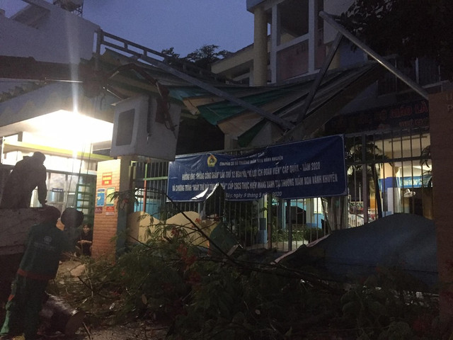 Cây phượng bật gốc trước cổng trường mầm non ở Sài Gòn - Hình 2 Cay phuong bat goc truoc cong truong mam non o Sai Gon-Hinh-2