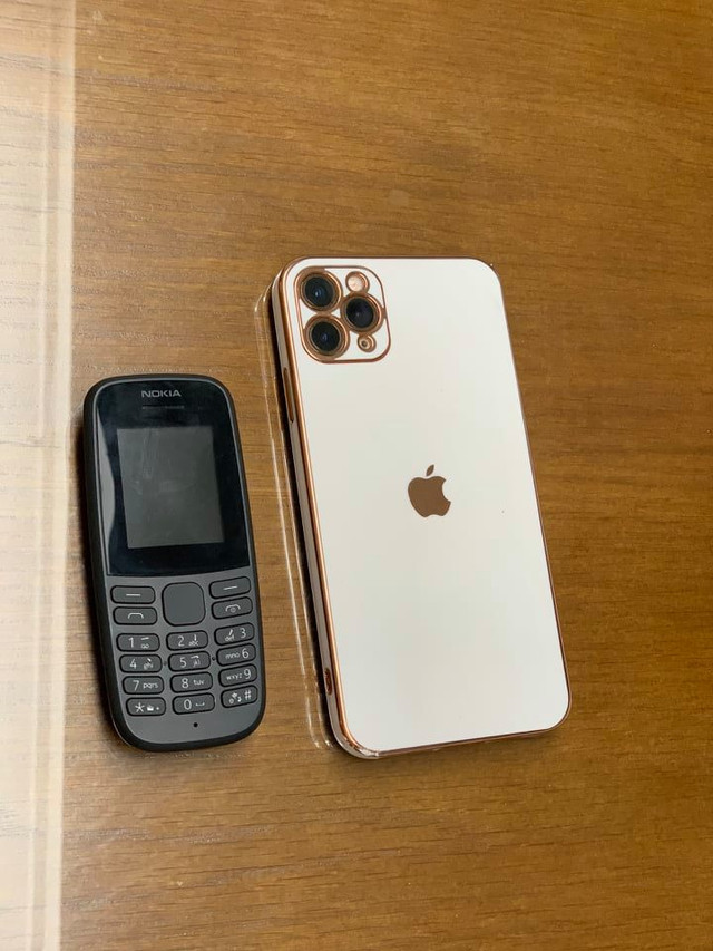 Co gai dang chup hinh 'tu suong' bi ten cuop giat dien thoai-Hinh-4