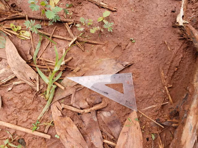 Nhieu dau chan cho o hien truong nghi 2 con bao den nang 100kg xuat hien-Hinh-2