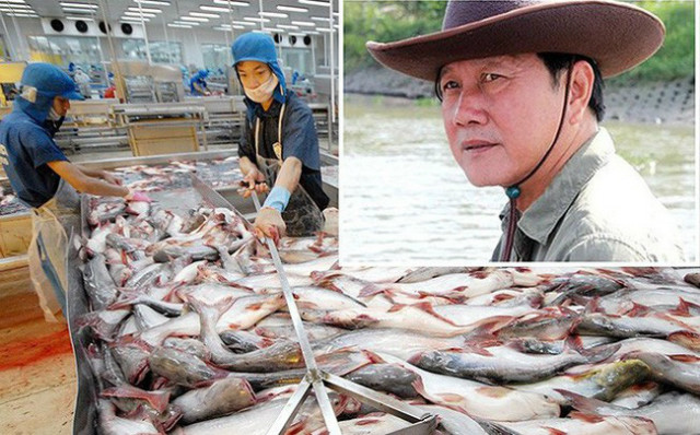 Hùng Vương bất ngờ báo lỗ thêm hơn 600 tỷ sau thương vụ khủng với Thaco Hung Vuong bat ngo bao lo them hon 600 ty sau thuong vu khung voi Thaco