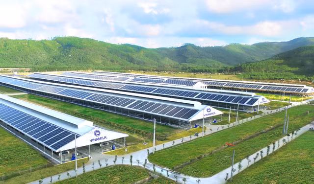 Vinamilk liên tục dẫn đầu ngành hàng sữa nước nhiều năm liền - Hình 5 Vinamilk lien tuc dan dau nganh hang sua nuoc nhieu nam lien-Hinh-5