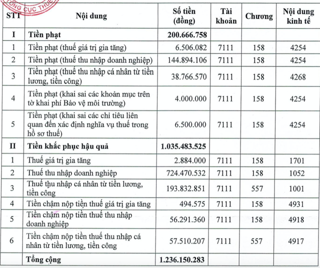 Loat sai pham ve thue, Than Mong Duong bi xu ly hon 1,2 ty dong-Hinh-2