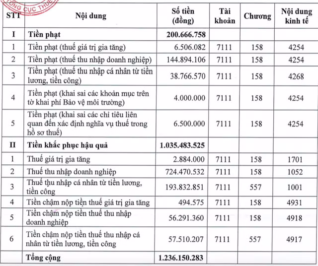Loat sai pham ve thue, Than Mong Duong bi xu ly hon 1,2 ty dong-Hinh-2