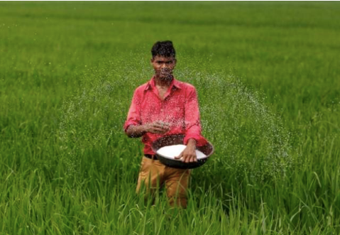 Gia phan bon lap dinh moi, nong dan the gioi oan minh vi chi phi tang-Hinh-2