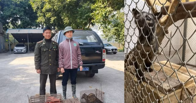 4 ca the cay huong duoc cuu ho o Bac Kan