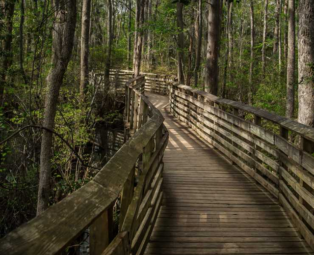 Khám phá cảnh thần tiên ở đầm lầy cầu vồng đẹp nhất thế giới - Hình 2 Kham pha canh than tien o dam lay cau vong dep nhat the gioi-Hinh-2