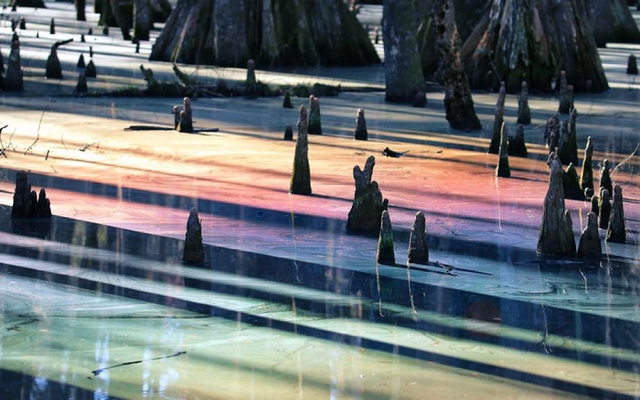 Khám phá cảnh thần tiên ở đầm lầy cầu vồng đẹp nhất thế giới - Hình 6 Kham pha canh than tien o dam lay cau vong dep nhat the gioi-Hinh-6