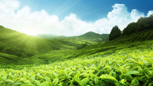 Hé lộ sự thật bất ngờ về Thiếu Lâm Tự ít ai biết - Hình 9 He lo su that bat ngo ve Thieu Lam Tu it ai biet-Hinh-9