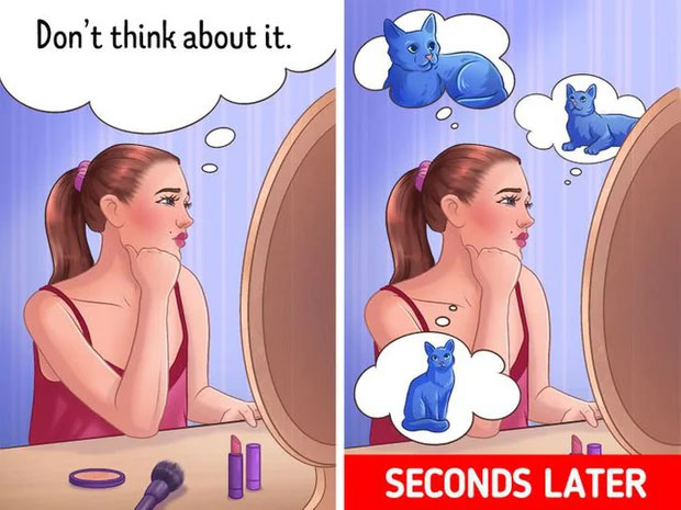 Não bộ vẫn 'tự lừa' chúng ta loạt hiện tượng tâm lý này - Hình 12 Nao bo van 'tu lua' chung ta loat hien tuong tam ly nay-Hinh-12