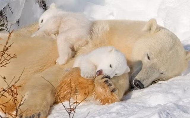 6 lam tuong ve Trai Dat it nguoi biet-Hinh-9