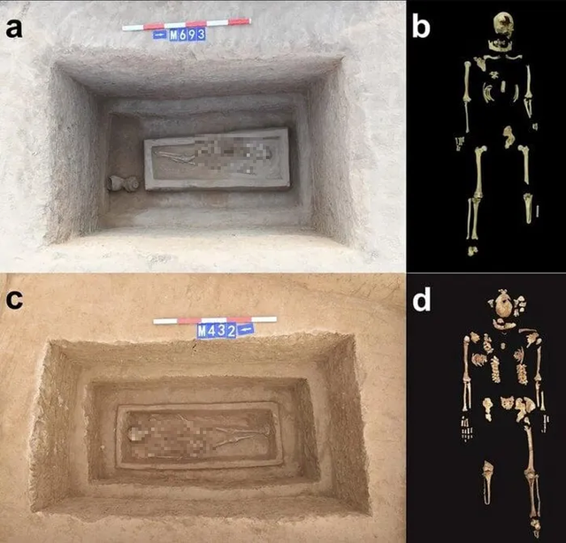 Phat hien bo xuong 2.500 nam tuoi cut chan, su that la gi-Hinh-2