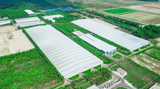 Học sinh hào hứng tự “khám phá” hành trình sữa học đường Vinamilk Hoc sinh hao hung tu “kham pha” hanh trinh sua hoc duong Vinamilk