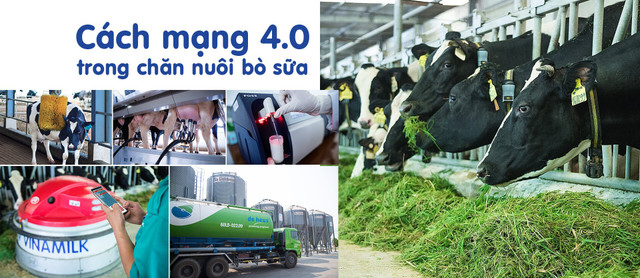 Khám phá trang trại sữa Vinamilk thông minh - Hình 8 Kham pha trang trai sua Vinamilk thong minh-Hinh-8