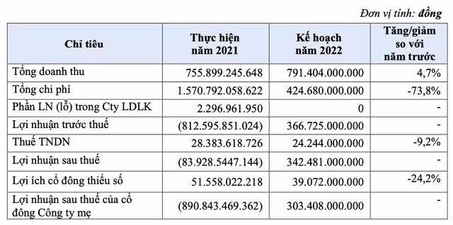 Song gio chua qua, tuong lai 'mo mit', ai se mua 120 trieu co phieu Thuduc House?-Hinh-2