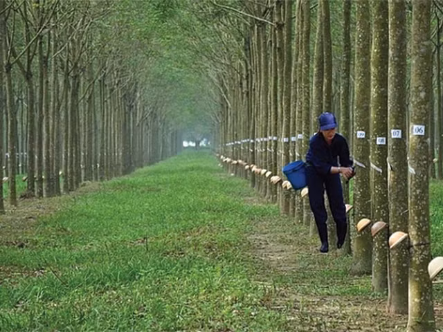 PHR sap chi 338 ty tam ung co tuc 25% vao dau nam 2021