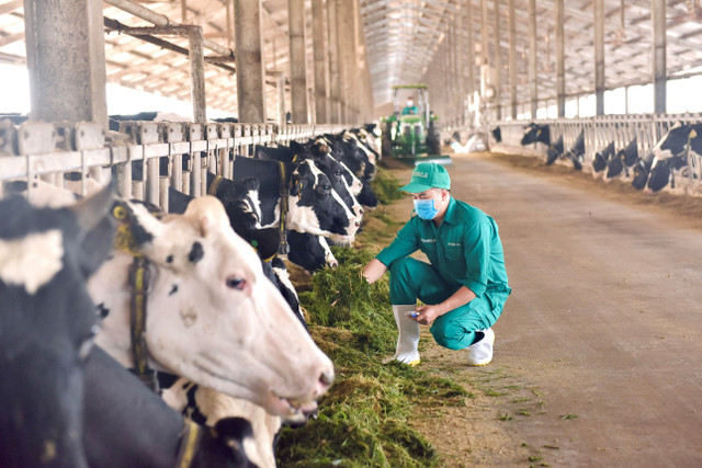 Mô hình phát triển bền vững “Vinamilk Green Farm” được chia sẻ tại hội nghị sữa toàn cầu - Hình 6 Mo hinh phat trien ben vung “Vinamilk Green Farm” duoc chia se tai hoi nghi sua toan cau-Hinh-6