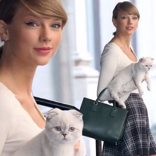 Diem ten 3 con meo giau nhat the gioi-Hinh-10