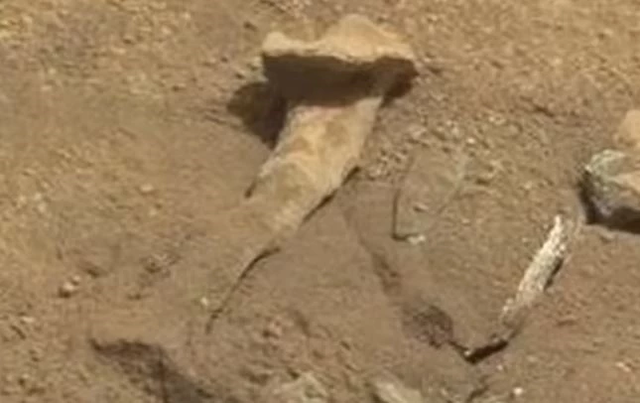 Nóng: Cựu điệp viên CIA tung bằng chứng sự sống trên sao Hỏa - Hình 4 Nong: Cuu diep vien CIA tung bang chung su song tren sao Hoa-Hinh-4