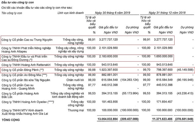 Vì sao HAGL Agrico bán tiếp một công ty ngàn tỷ cho Thaco? - Hình 2 Vi sao HAGL Agrico ban tiep mot cong ty ngan ty cho Thaco?-Hinh-2