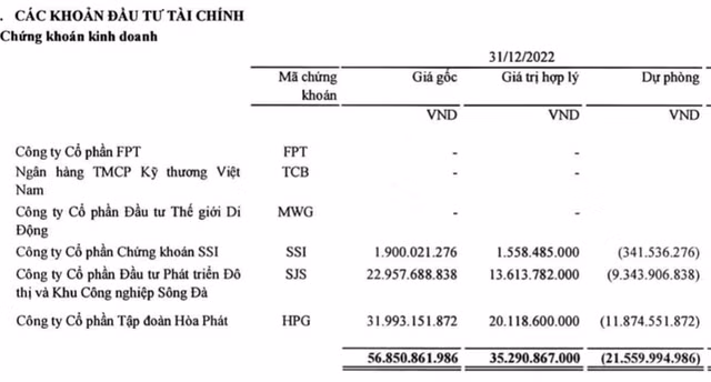 Samland lo 62 ty do kinh doanh duoi gia von va lo chung khoan