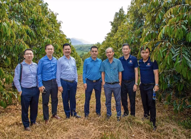 Thaigroup thay the Quy Viet Cat trong danh sach mua co phieu rieng le cua HAG