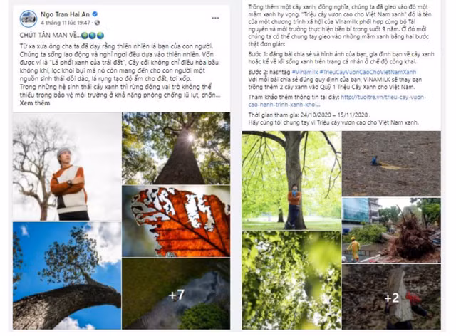 Chien dich “online” khep lai, hanh trinh vuon cao cua mot trieu cay xanh bat dau-Hinh-3