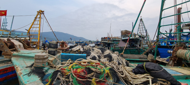 Toàn cảnh hoạt động của cảng cá lớn nhất miền Trung - Hình 8 Toan canh hoat dong cua cang ca lon nhat mien Trung-Hinh-8