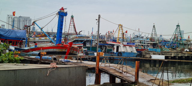 Toàn cảnh hoạt động của cảng cá lớn nhất miền Trung - Hình 7 Toan canh hoat dong cua cang ca lon nhat mien Trung-Hinh-7