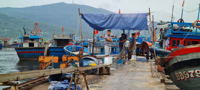 Toàn cảnh hoạt động của cảng cá lớn nhất miền Trung - Hình 15 Toan canh hoat dong cua cang ca lon nhat mien Trung-Hinh-15