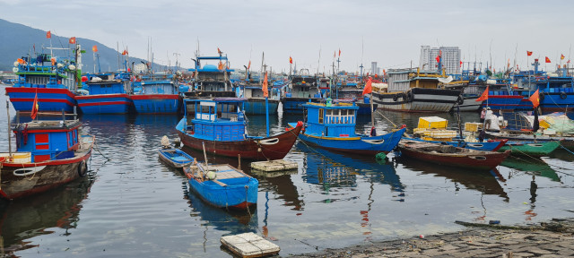 Toàn cảnh hoạt động của cảng cá lớn nhất miền Trung - Hình 6 Toan canh hoat dong cua cang ca lon nhat mien Trung-Hinh-6