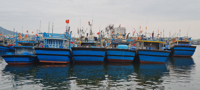 Toàn cảnh hoạt động của cảng cá lớn nhất miền Trung - Hình 4 Toan canh hoat dong cua cang ca lon nhat mien Trung-Hinh-4