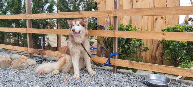 Loat diem check-in moi noi tieng hut gioi tre o Da Nang-Hinh-14