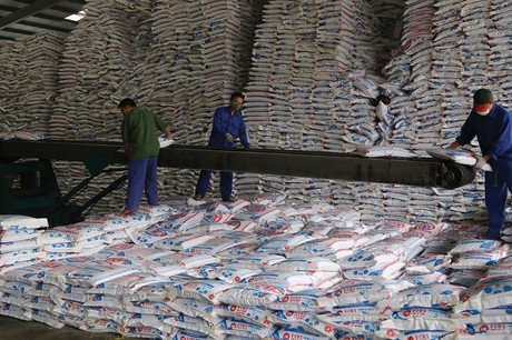 Hoá chất Lâm Thao ước quý 1 lãi 10 tỷ, tăng 99% so cùng kỳ Hoa chat Lam Thao uoc quy 1 lai 10 ty, tang 99% so cung ky