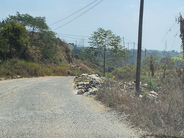 Muc so thi con duong hon tram ti dang bi bo hoang