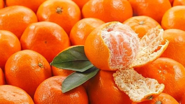 Loại quả được ví như “ngọc vàng Trời ban": Việt Nam ngập tràn! - Hình 6 Loai qua duoc vi nhu “ngoc vang Troi ban