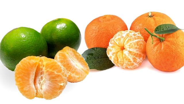 Loại quả được ví như “ngọc vàng Trời ban": Việt Nam ngập tràn! - Hình 3 Loai qua duoc vi nhu “ngoc vang Troi ban