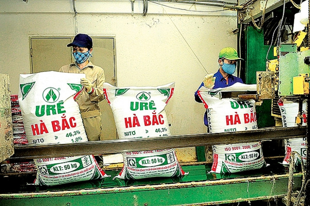 Đạm Hà Bắc lỗ luỹ kế 'khủng' gần 4.000 tỷ, nhà băng nào 'ngồi trên đống lửa'? Dam Ha Bac lo luy ke 'khung' gan 4.000 ty, nha bang nao 'ngoi tren dong lua'?