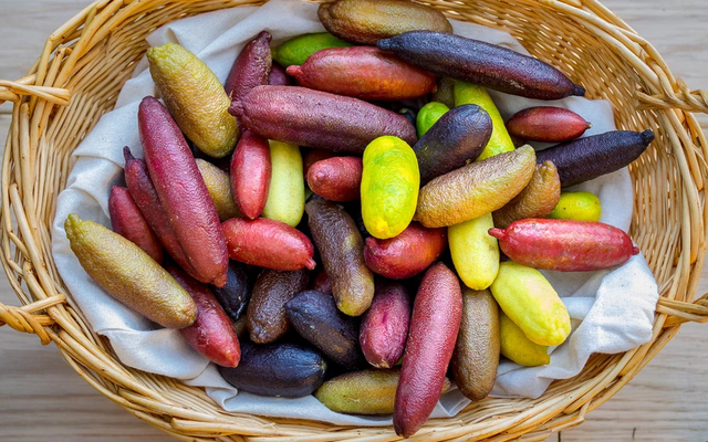 Việt Nam trồng được loại quả quý hiếm đắt đỏ bậc nhất thế giới Viet Nam trong duoc loai qua quy hiem dat do bac nhat the gioi