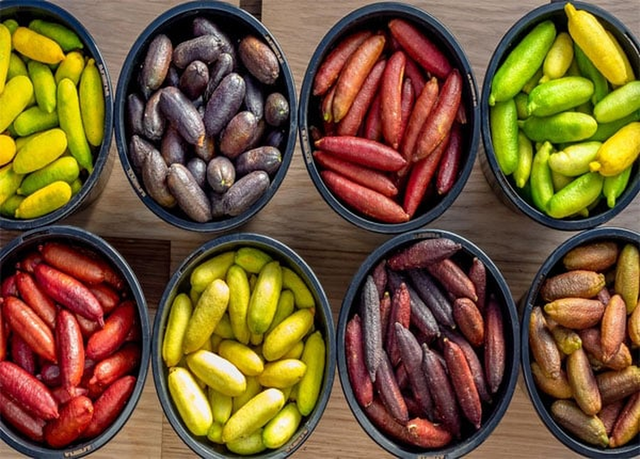 Việt Nam trồng được loại quả quý hiếm đắt đỏ bậc nhất thế giới - Hình 3 Viet Nam trong duoc loai qua quy hiem dat do bac nhat the gioi-Hinh-3