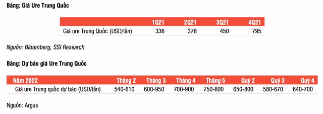 Gia ure co the dat dinh trong thang 3, loi nhuan DPM va DCM con tang vot-Hinh-2