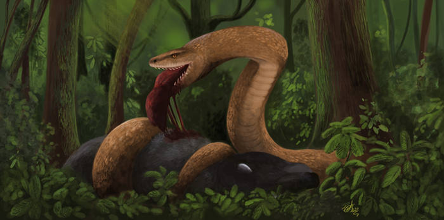 Siêu mãng xà Vasuki Indicus 47 triệu tuổi lộ diện - Hình 6 Sieu mang xa Vasuki Indicus 47 trieu tuoi lo dien-Hinh-6