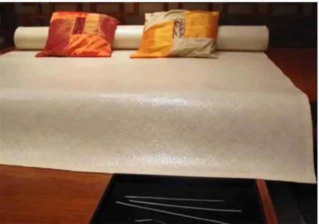 Dọn kho thấy chiếc chiếu cũ, ai ngờ đó là báu vật gần 70 tỷ - Hình 2 Don kho thay chiec chieu cu, ai ngo do la bau vat gan 70 ty-Hinh-2