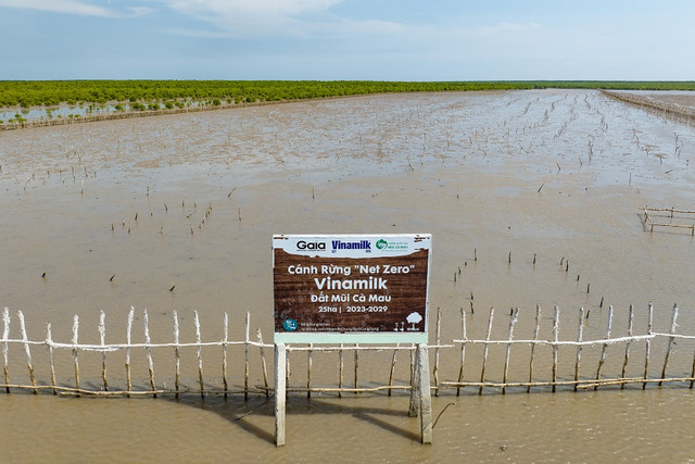 Cánh rừng Net Zero VINAMILK tại Càu Mau đón những đàn chim trở về - Hình 8 Canh rung Net Zero VINAMILK tai Cau Mau don nhung dan chim tro ve-Hinh-8