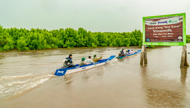 Cánh rừng Net Zero VINAMILK tại Càu Mau đón những đàn chim trở về - Hình 9 Canh rung Net Zero VINAMILK tai Cau Mau don nhung dan chim tro ve-Hinh-9